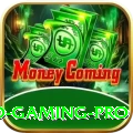 PKZ Casino - Gaming Pro